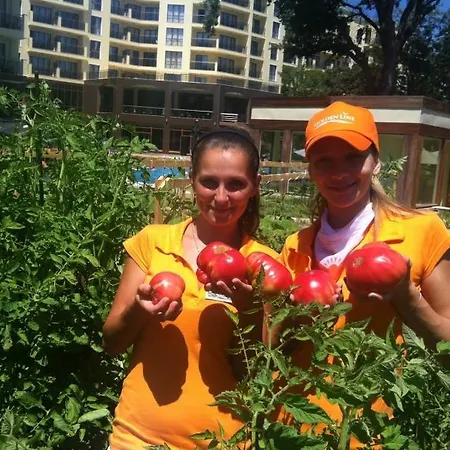 3- In Golden Line Appartement